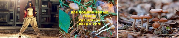 альфа пвп Ладушкин