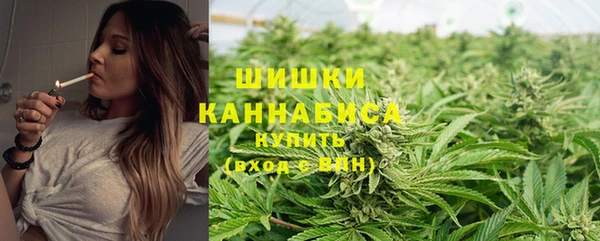 2c-b Лагань