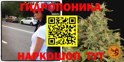 скорость Абинск