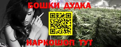 индика Азнакаево
