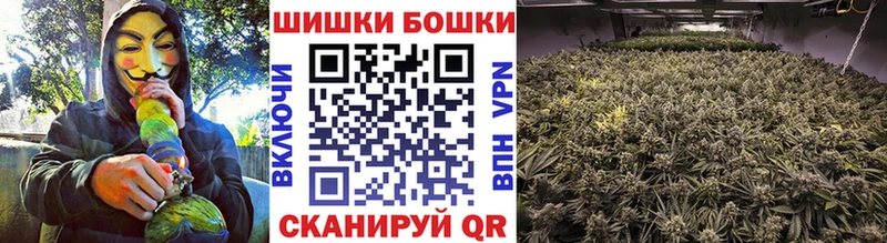 сколько стоит  Оренбург  Канабис семена 